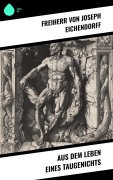Cover-Bild zum Titel 'Aus dem Leben eines Taugenichts' von 'Freiherr Von Joseph Eichendorff'