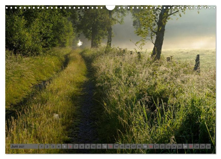 InsideView 11