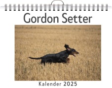 Cover-Bild zum Titel 'Gordon Setter' von 'Jakob Schneider'