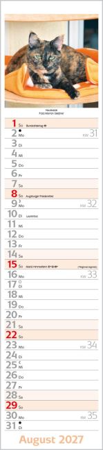 InsideView 8
