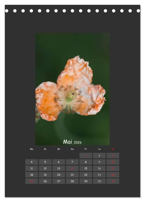 InsideView 10