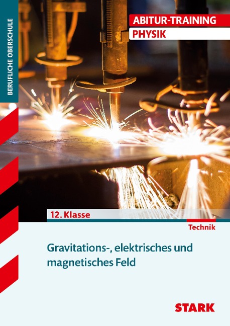 Training FOS/BOS Physik. Gravitations-, elektrisches und magnetisches Feld - Eberhard Lehmann, Friedrich Schmidt