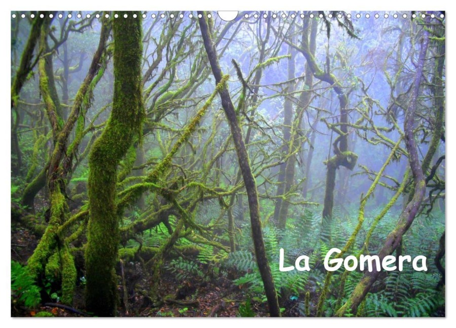 La Gomera (Wandkalender 2026 DIN A3 quer), CALVENDO Monatskalender - Manfred Betzwieser