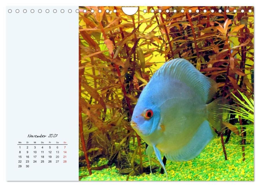 InsideView 3