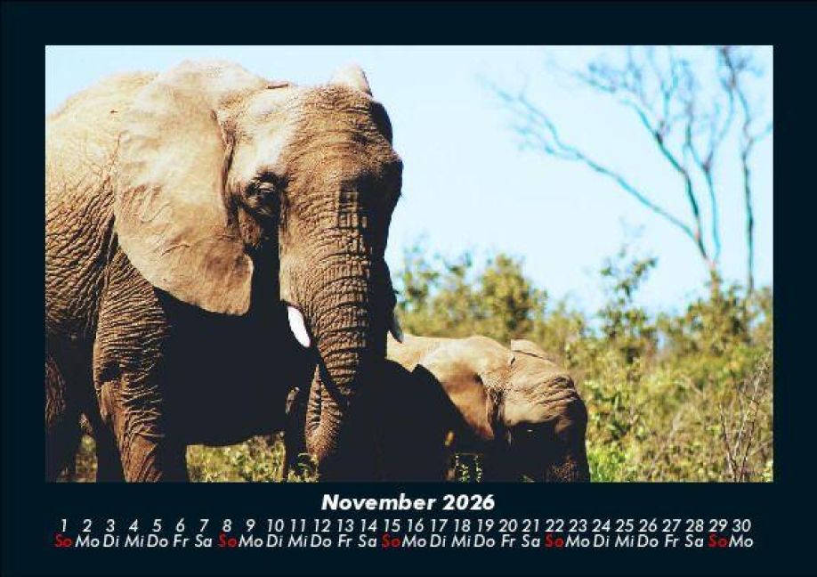 InsideView 3