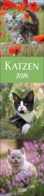 Katzen Langplaner 2026 - 