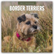 Cover-Bild zum Titel 'Border Terriers - Border Terrier 2027 - 16-Monatskalender' von 'Robin Red'