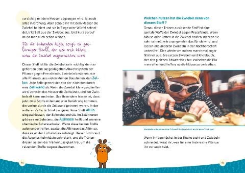 InsideView 8