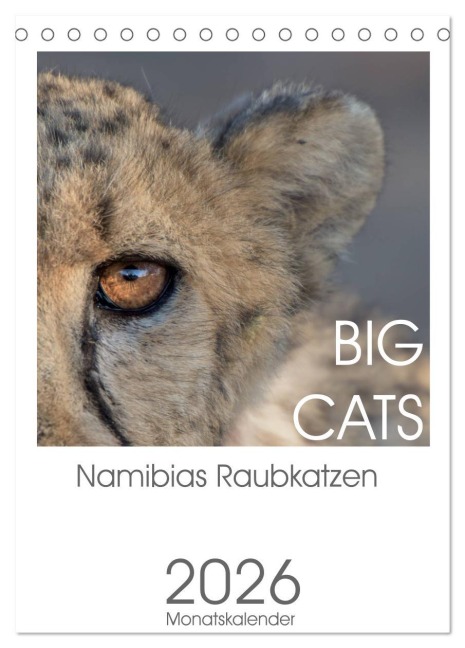 BIG CATS - Namibias Raubkatzen (Tischkalender 2026 DIN A5 hoch), CALVENDO Monatskalender - Irma van der Wiel