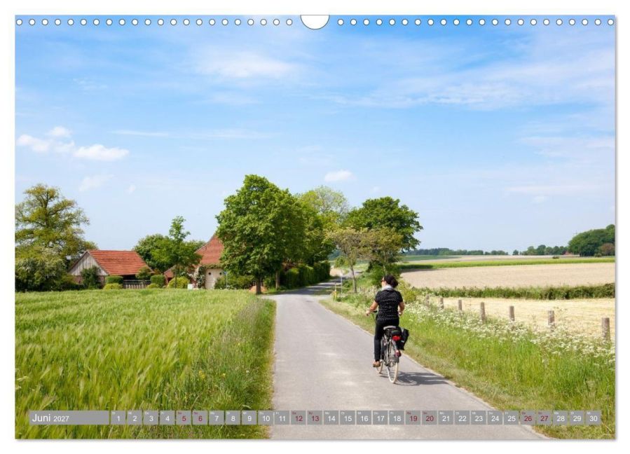 InsideView 11