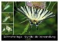 Schmetterlinge - Wunder der Verwandlung (Wandkalender 2025 DIN A2 quer), CALVENDO Monatskalender - Wilhelm Eisenreich