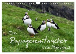 Cover-Bild zum Titel 'Die Papageientaucher von Mykines (Wandkalender 2026 DIN A4 quer), CALVENDO Monatskalender' von 'Sören Gelbe-Haußen'