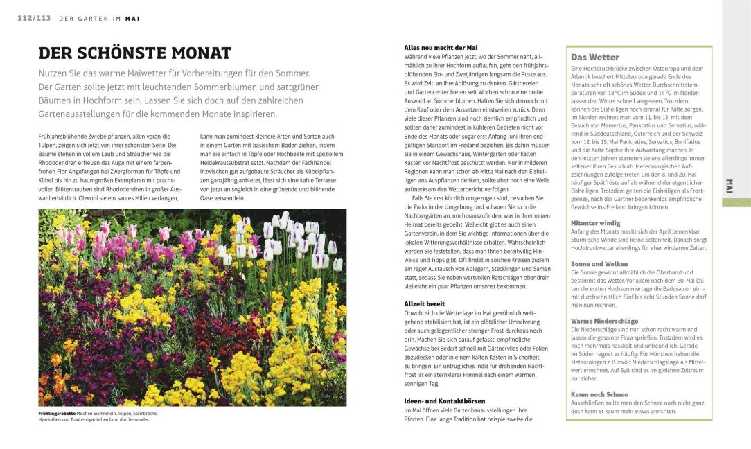 InsideView 5