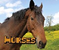 Horses - Sheri Doyle