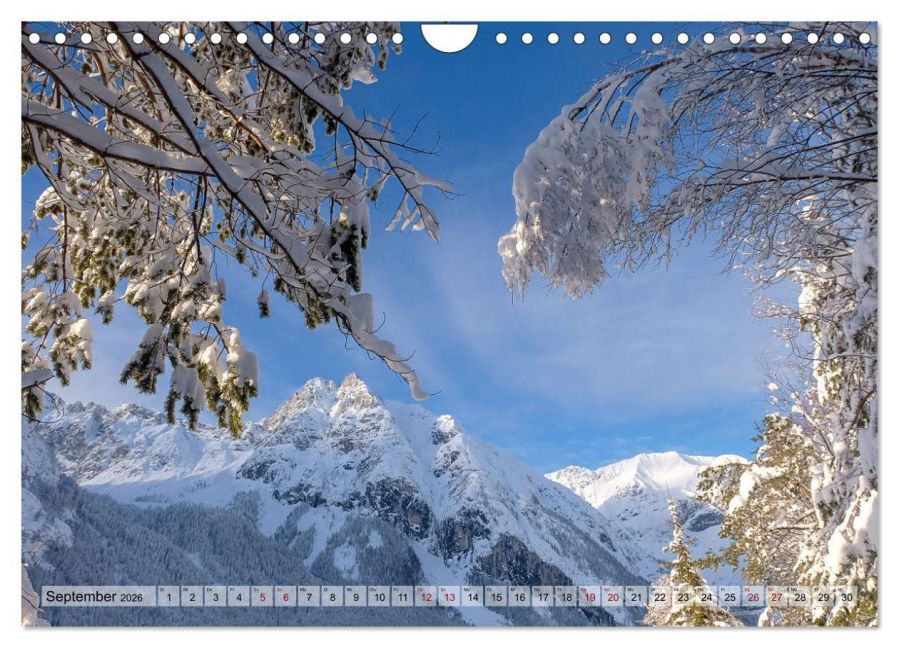 InsideView 14