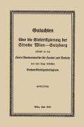 Cover-Bild zum Titel 'Gutachten über die Elektrifizierung der Strecke Wien -Salzburg' von 'Robert Findeis'