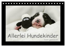 Allerlei Hundekinder (Tischkalender 2026 DIN A5 quer), CALVENDO Monatskalender - Kathrin Köntopp