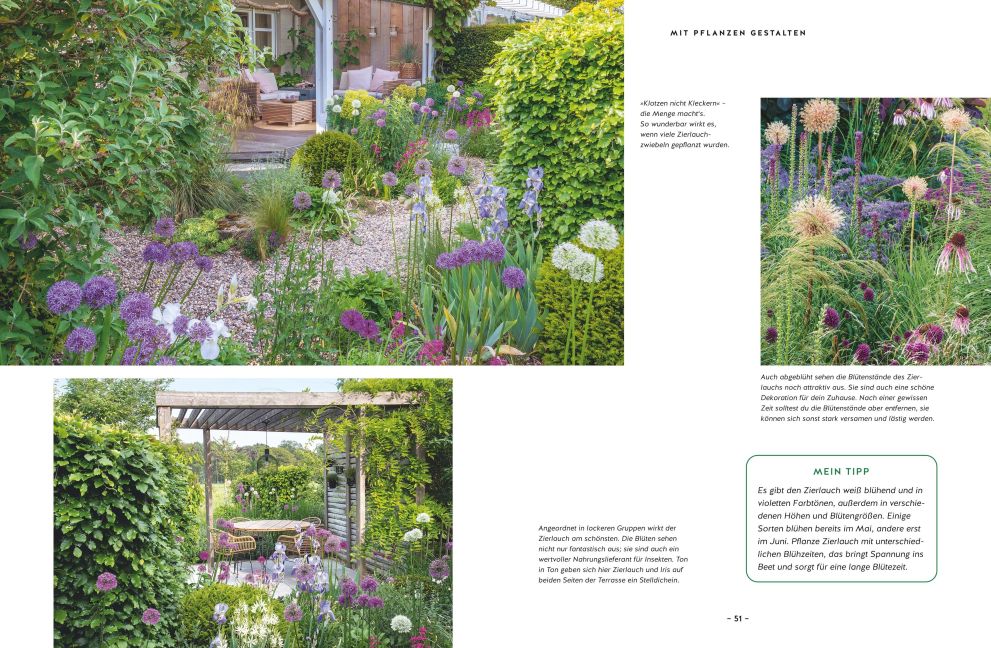 InsideView 5