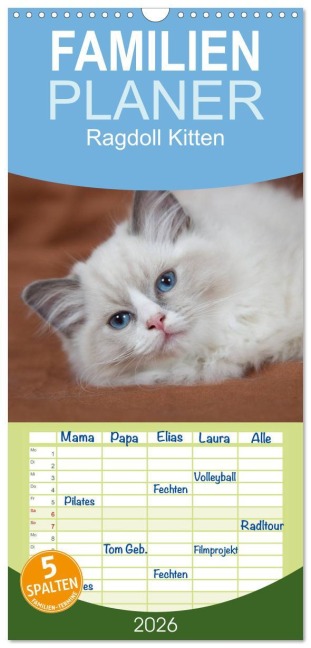 Familienplaner 2026 - Ragdoll Kitten mit 5 Spalten (Wandkalender, 21 x 45 cm) CALVENDO - Fotodesign Verena Scholze