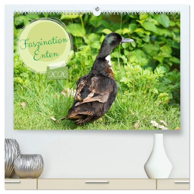 Faszination Enten (hochwertiger Premium Wandkalender 2026 DIN A2 quer), Kunstdruck in Hochglanz - Babett Paul - Babetts Bildergalerie