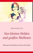 Cover-Bild zum Titel 'Von kleinen Helden und großen Malheurs' von 'Nadine Semlitsch-Zehe'