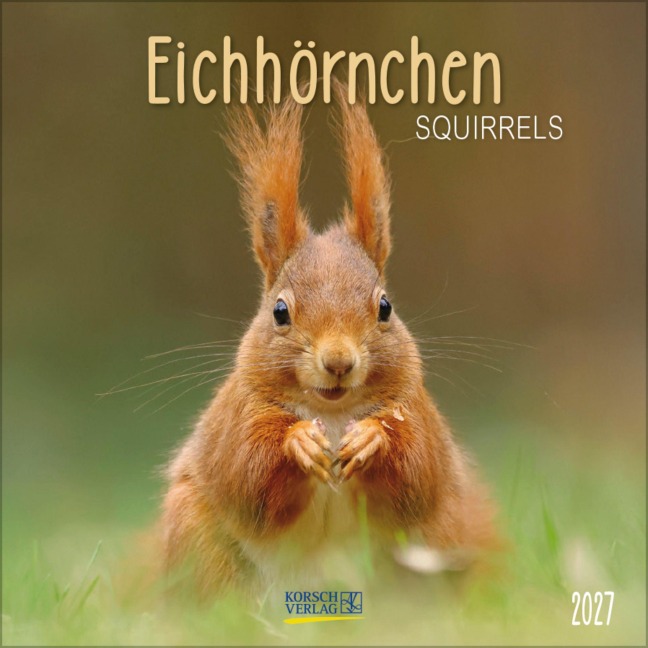 Eichhörnchen 2027 - 