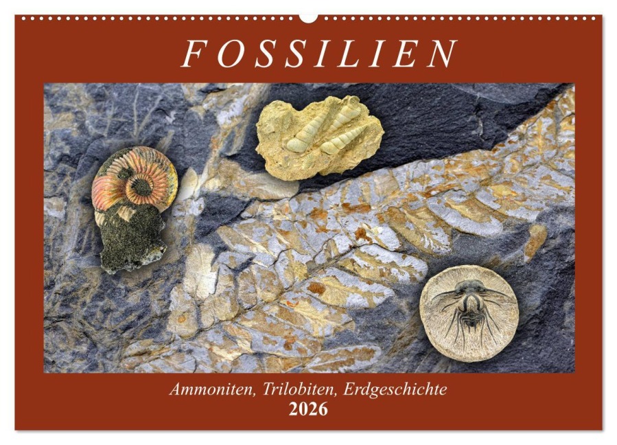 Fossilien - Ammoniten, Trilobiten, Erdgeschichte (Wandkalender 2026 DIN A2 quer), CALVENDO Monatskalender - Anja Frost
