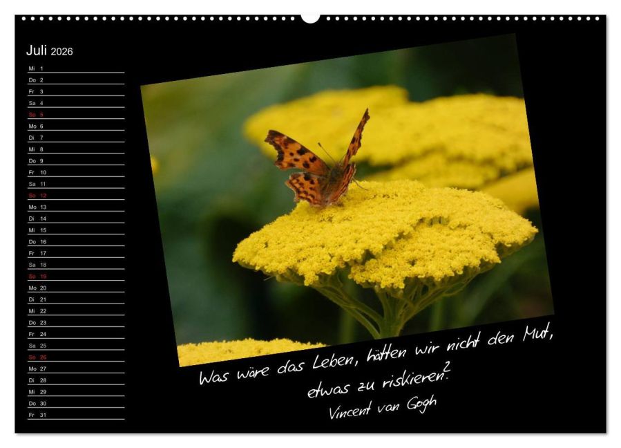 InsideView 11