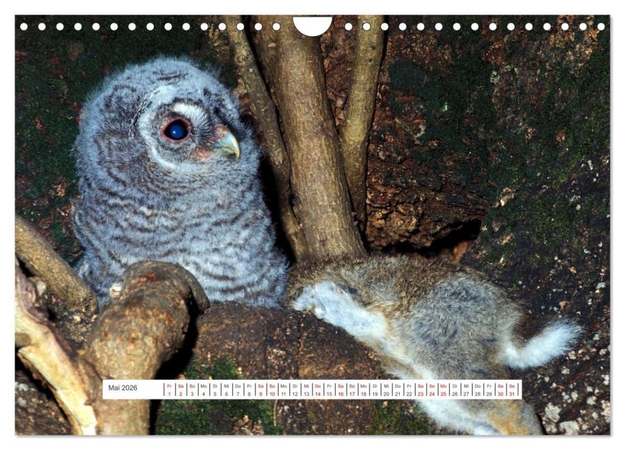 InsideView 10