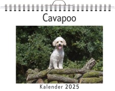 Cover-Bild zum Titel 'Cavapoo' von 'Matteo Schröder'