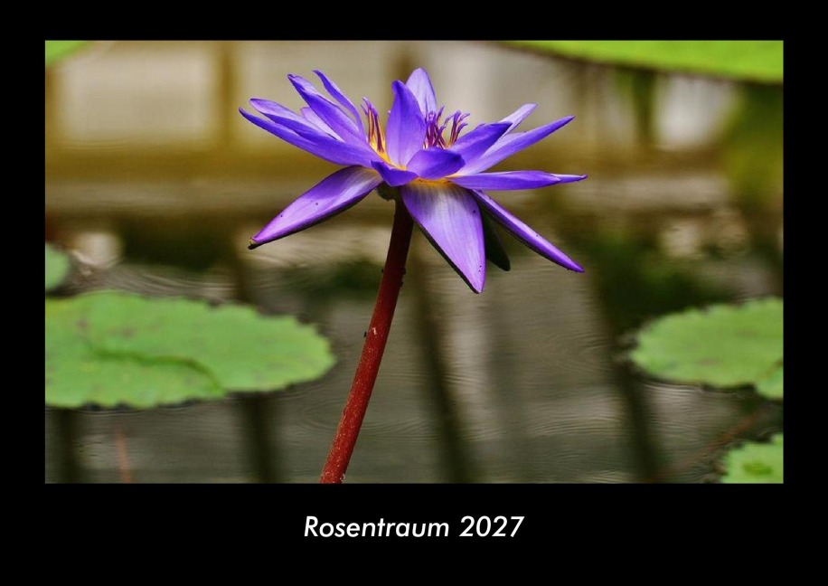 Rosentraum 2027 Fotokalender DIN A3 - Tobias Becker