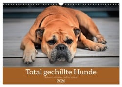 Cover-Bild zum Titel 'Total gechillte Hunde (Wandkalender 2026 DIN A3 quer), CALVENDO Monatskalender' von ''