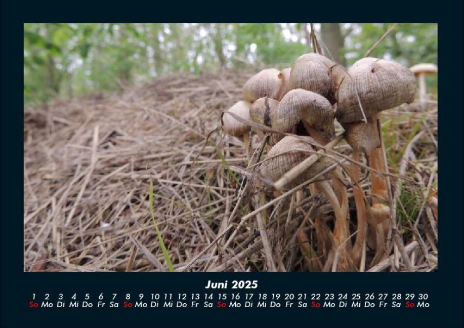 InsideView 10