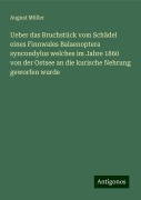 Ueber das Bruchstück vom Schädel eines Finnwales Balaenoptera syncondylus welches im Jahre 1860 von der Ostsee an die kurische Nehrung geworfen wurde - August Müller