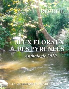 Cover-Bild zum Titel 'Jeux Floraux des Pyrénées - Anthologie 2020' von 'Collectif D'Auteurs'