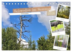 Cover-Bild zum Titel 'Schweden im Sommer (Tischkalender 2026 DIN A5 quer), CALVENDO Monatskalender' von 'Viktor Wedel'