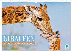 Giraffen: Die afrikanischen Riesen mit Weitblick (Wandkalender 2026 DIN A2 quer), CALVENDO Monatskalender - Calvendo Calvendo