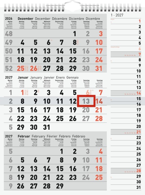 rido/idé 7033330007 3-Monatskalender 2027 grau, 300×390 mm - 