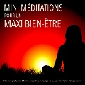 Cover-Bild zum Titel 'MINI méditations pour un MAXI bien-être' von 'Patrick Lynen'