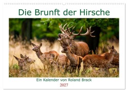 Cover-Bild zum Titel 'Die Brunft der Hirsche (Wandkalender 2027 DIN A2 quer), CALVENDO Monatskalender' von 'Roland Brack'
