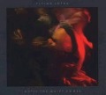Cover-Bild zum Titel 'Until The Quiet Comes' von 'Flying Lotus'