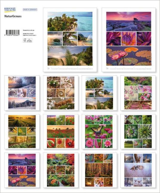 InsideView 13