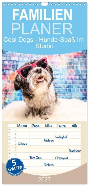 Familienplaner 2027 - Cool Dogs - Hunde-Spaß im Studio mit 5 Spalten (Wandkalender, 21 x 45 cm) CALVENDO - Sonja Teßen