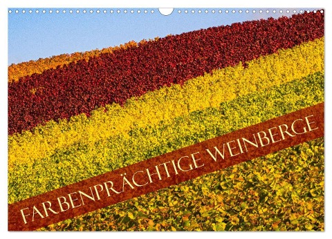 Farbenprächtige Weinberge (Wandkalender 2024 DIN A3 quer), CALVENDO Monatskalender - Monika Scheurer