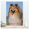 Collie 2025 (hochwertiger Premium Wandkalender 2025 DIN A2 hoch), Kunstdruck in Hochglanz - Sigrid Starick