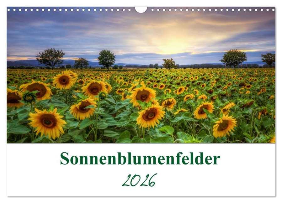 Sonnenblumenfelder (Wandkalender 2026 DIN A3 quer), CALVENDO Monatskalender - Gierok, Steffen Magic Artist Design