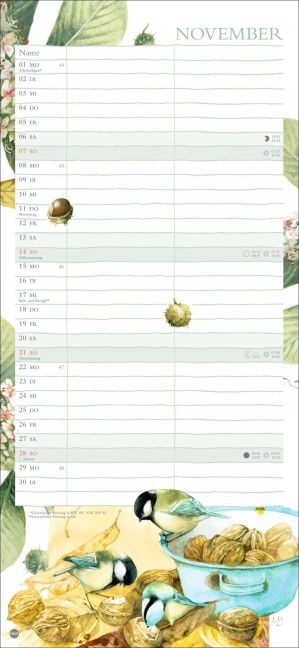 InsideView 11