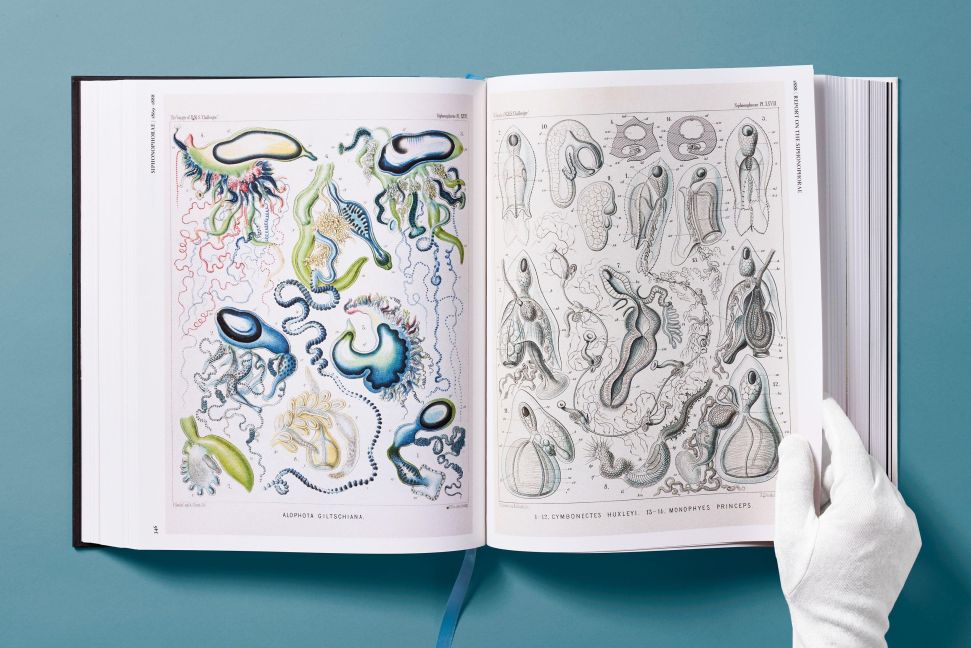 InsideView 14