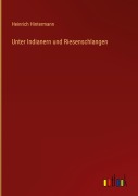 Cover-Bild zum Titel 'Unter Indianern und Riesenschlangen' von 'Heinrich Hintermann'