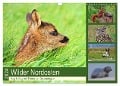 Wilder Nordosten - Aug in Aug mit Tieren der Ostseeregion (Wandkalender 2024 DIN A3 quer), CALVENDO Monatskalender - René Schaack